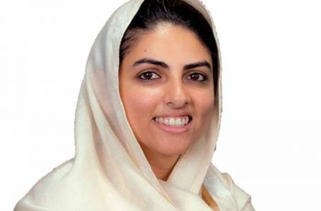 79th Sant Nirankari Samagam Begins in Samalkha, 10 Lakh Devotees Expected